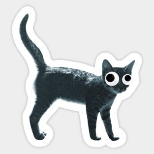 Silly Kitty Sticker